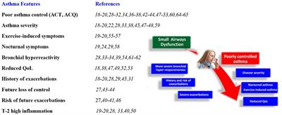 Small Airways: The “Silent Zone” of 2021 GINA Report?